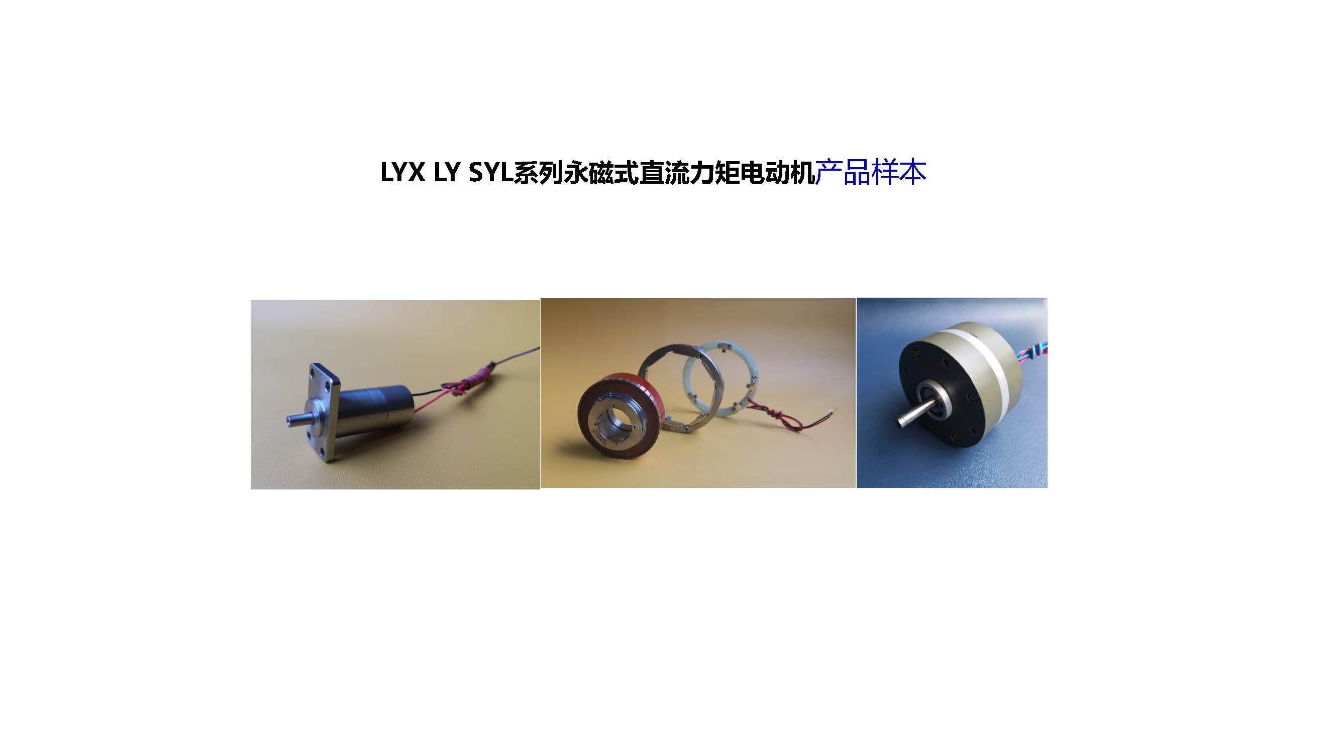 LYX LY系列永磁式直流力矩電動機說明書_頁面_01.jpg
